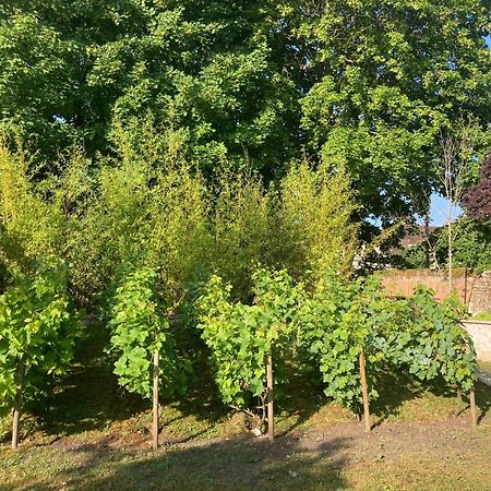 桑利斯Pierres Et Jardins住宿加早餐旅馆 外观 照片