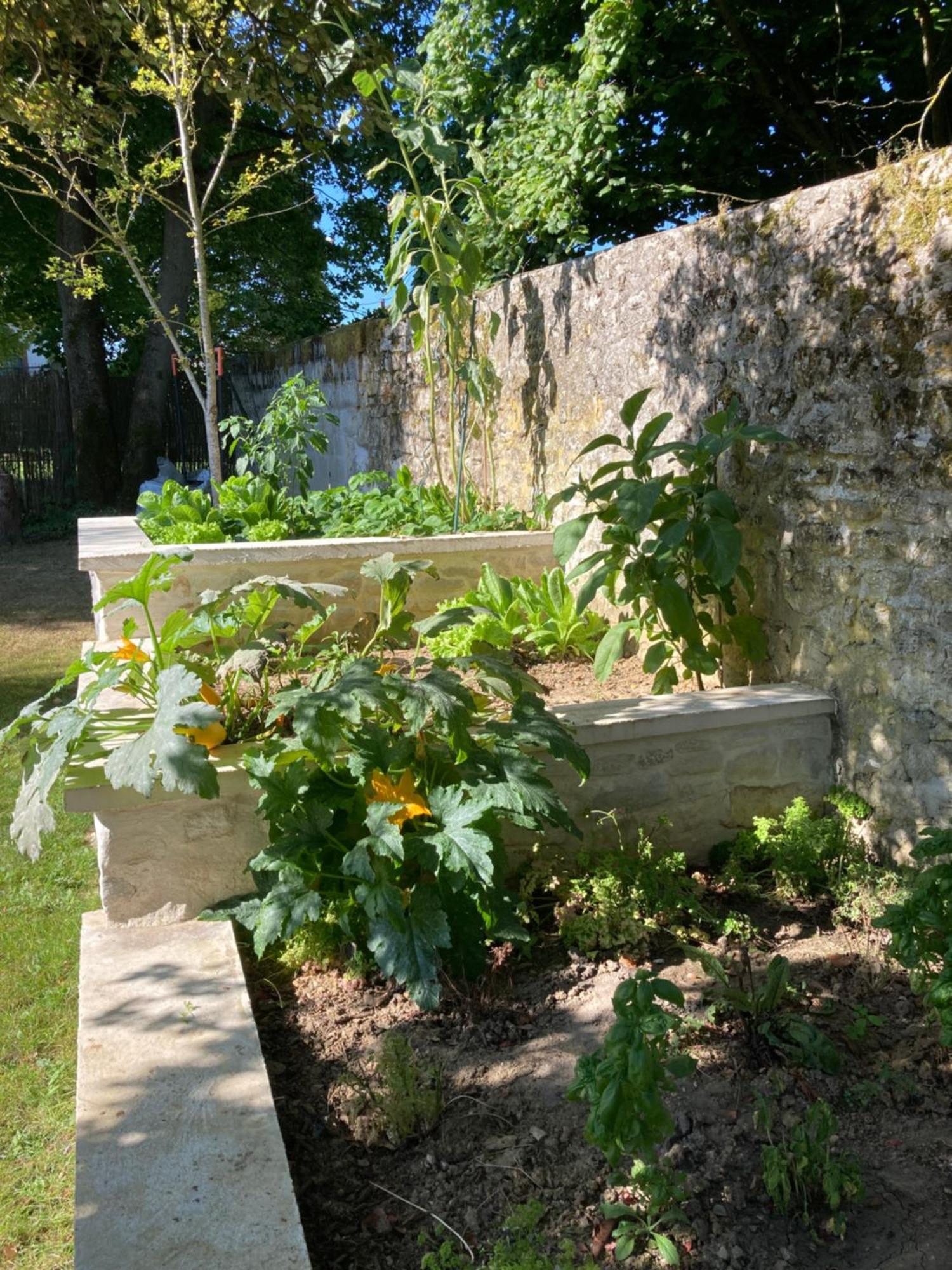 桑利斯Pierres Et Jardins住宿加早餐旅馆 外观 照片
