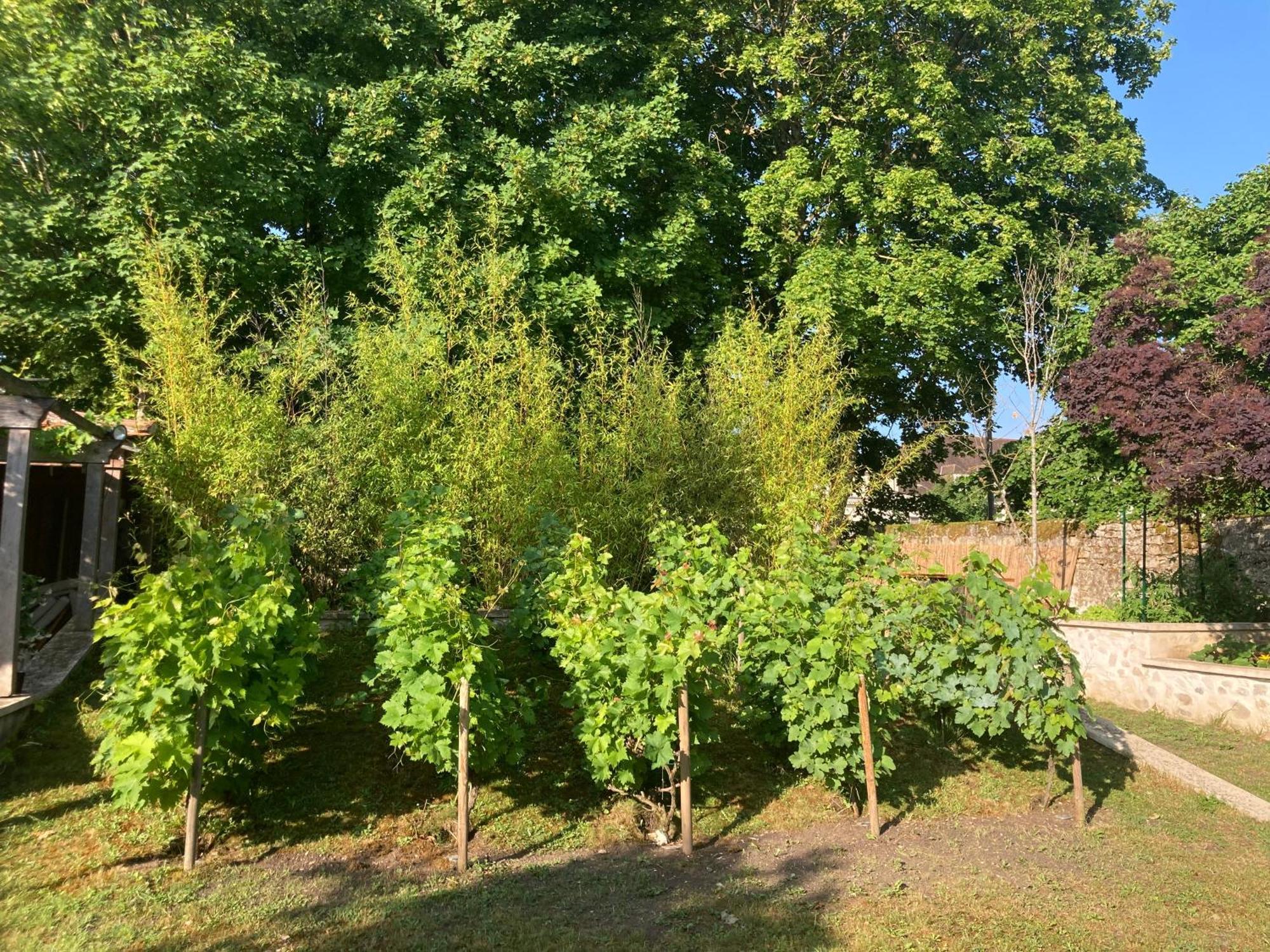 桑利斯Pierres Et Jardins住宿加早餐旅馆 外观 照片