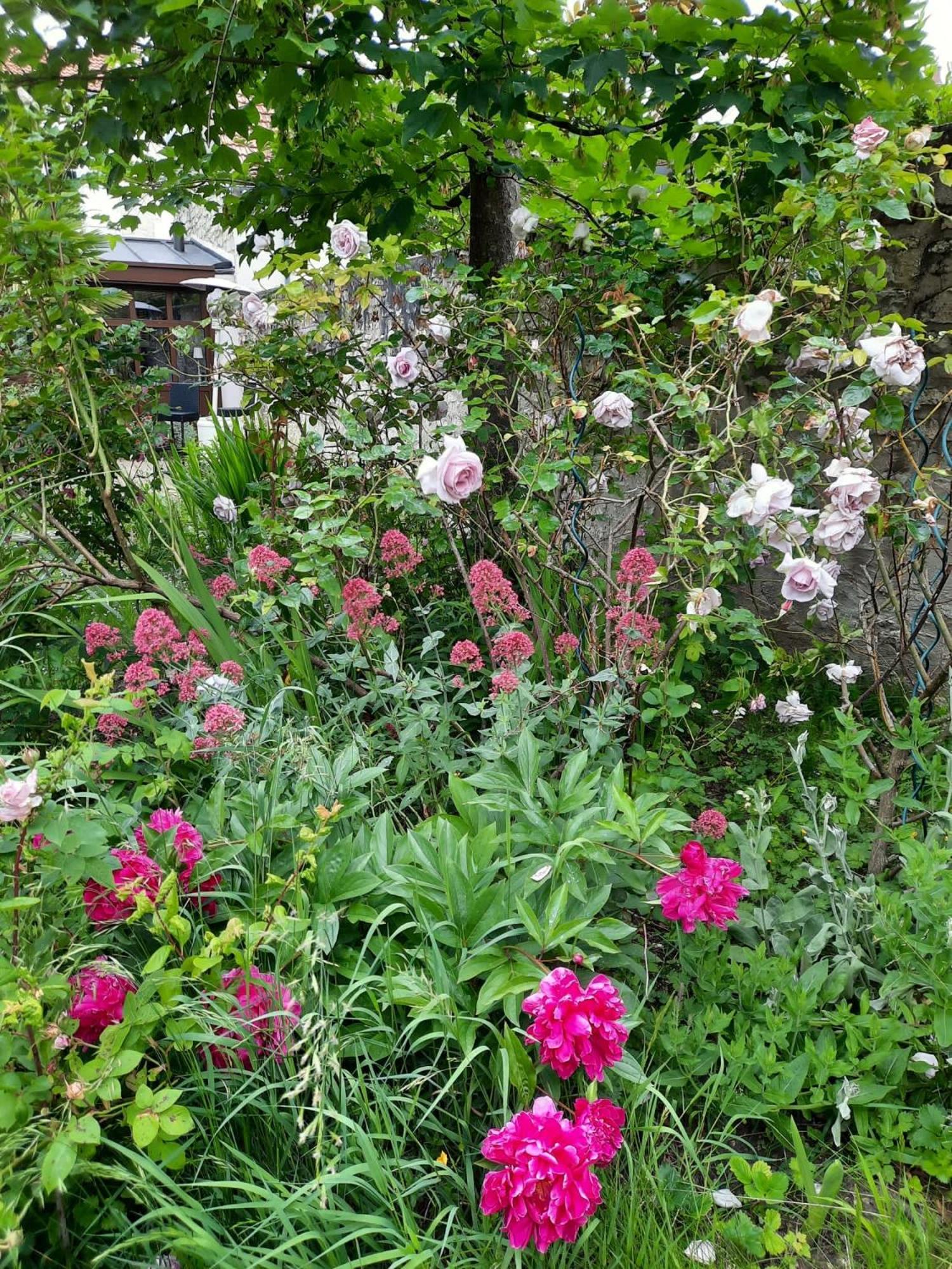 桑利斯Pierres Et Jardins住宿加早餐旅馆 外观 照片